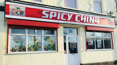 Spicy China - Shiney Row photo